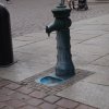 torun 95